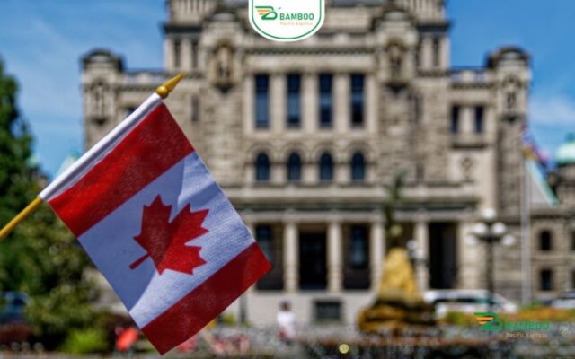 Gửi hàng đi Canada tại TPHCM