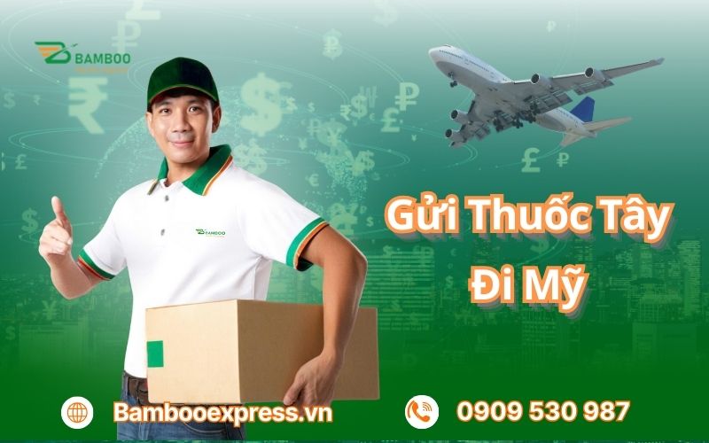 Gửi thuốc tây đi Mỹ an toàn